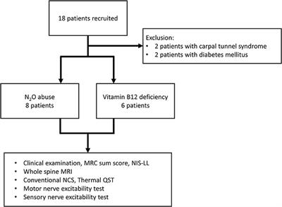 Elucidating Unique Axonal Dysfunction Between Nitrous Oxide Abuse and Vitamin B12 Deficiency